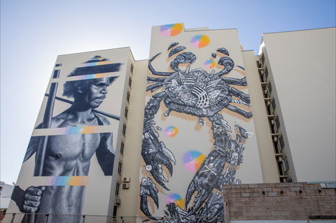Darwin Street Art Festival - Accommodation Yamba 2