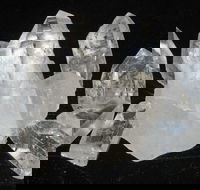 Gemkhana - Accommodation Yamba