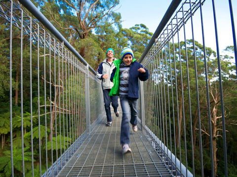 Get Back To Nature These July School Holidays! - Accommodation Yamba 0