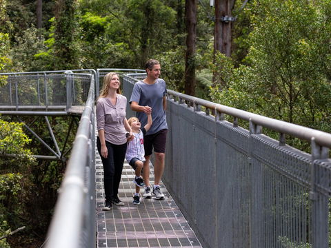 Get Back To Nature These July School Holidays! - Accommodation Yamba 1