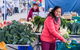 Harvest Launceston Community Farmers' Market - thumb 1