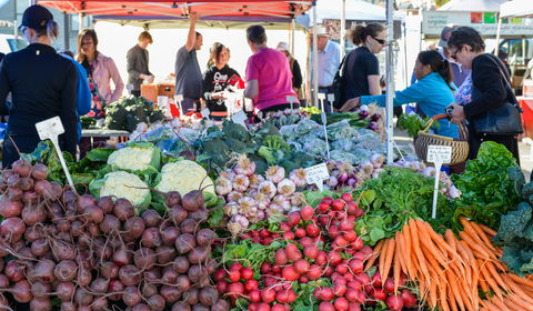 Harvest Launceston Community Farmers' Market - Accommodation Yamba 2