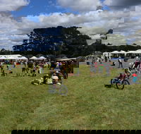 Majors Creek Festival - Accommodation Yamba