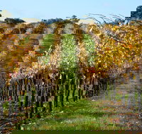 Miners Ridge Wine Tasting - Accommodation Yamba