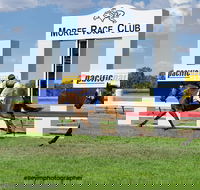 Moree Race Club TAB Race Day - Accommodation Yamba
