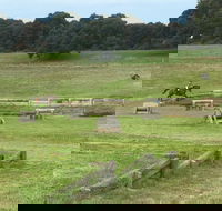 Mount Gambier and District Pony Club Horse Trials 2020 - Accommodation Yamba