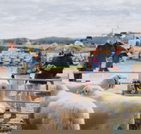 Mudgee Small Farm Field Days - Accommodation Yamba