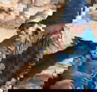 Mums and Cubs And Dads too - Accommodation Yamba