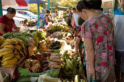 Rapid Creek Markets - Accommodation Yamba 1