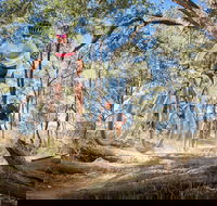 Shimano Mountain Bike Grand Prix  Logan - Accommodation Yamba