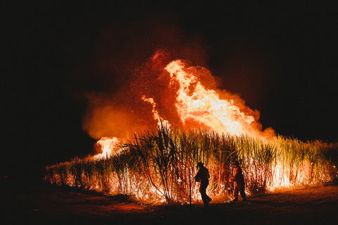 Sweet Days, Hot Nights Festival - Accommodation Yamba 1