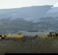 Tumut Cycle Classic - Accommodation Yamba