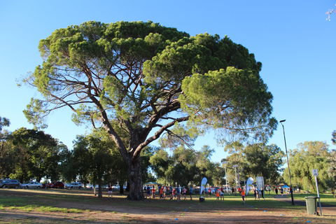 Wagga Parkrun - Accommodation Yamba 1
