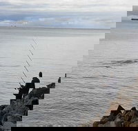 Whale Watching in Portland - Accommodation Yamba