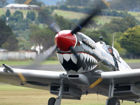 Wings Over Illawarra - Accommodation Yamba 0