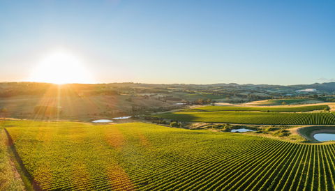Wine And Food At Altitude - Accommodation Yamba 0
