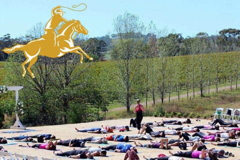 Yoga In The Vines - Accommodation Yamba 0