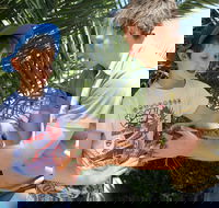 Zoocation at the National Zoo  Aquarium - Accommodation Yamba