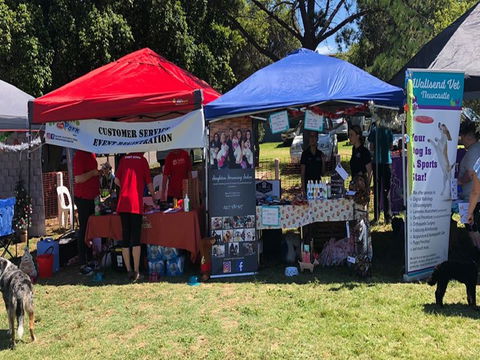 Dogs In The Park NSW Orange - Accommodation Yamba 1