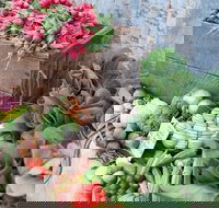 Ma Ma Creek Markets - Accommodation Yamba