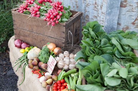 Ma Ma Creek Markets - Accommodation Yamba 0