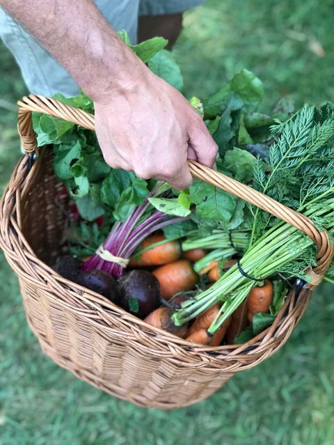 Orange Farmers Market - Accommodation Yamba 0
