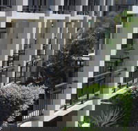 Paradiso Resort Kingscliff - Accommodation Yamba