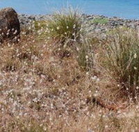 Schouten House - Accommodation Yamba