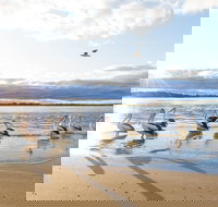 El Paso Motor Inn - Accommodation Yamba