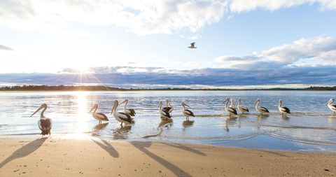 El Paso Motor Inn - Accommodation Yamba 0