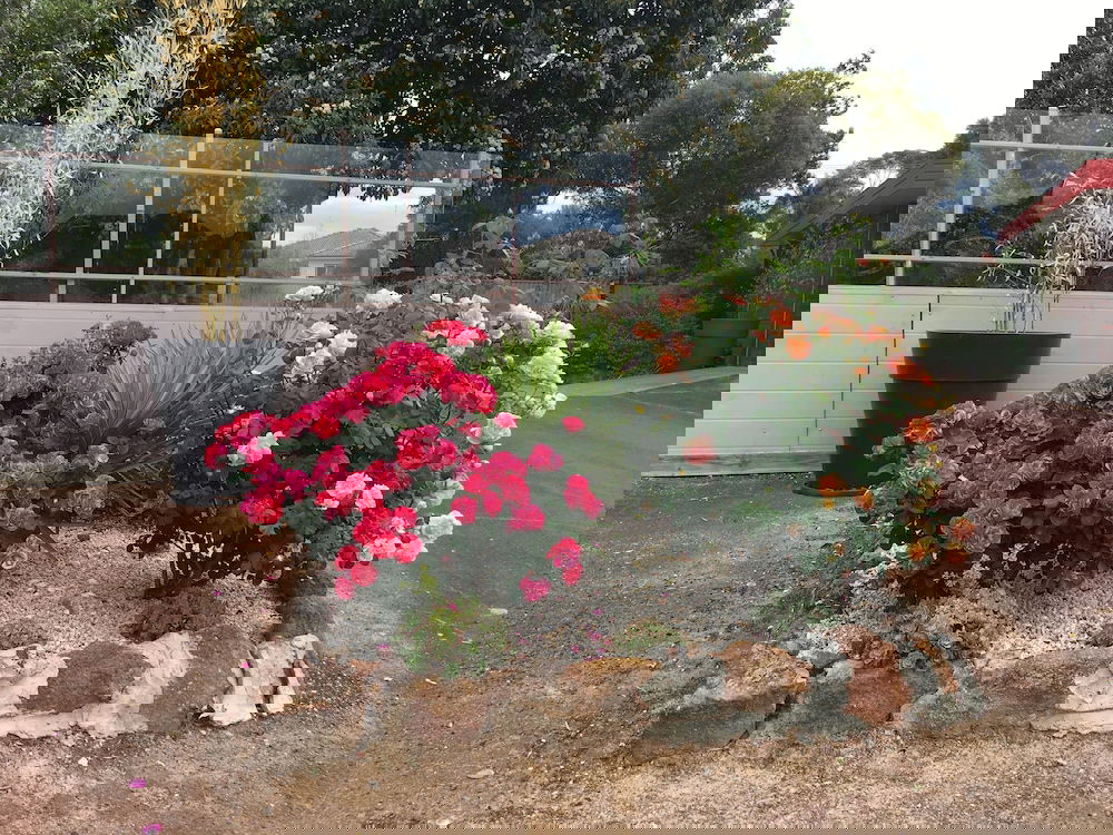 Crowlands VIC Accommodation Yamba