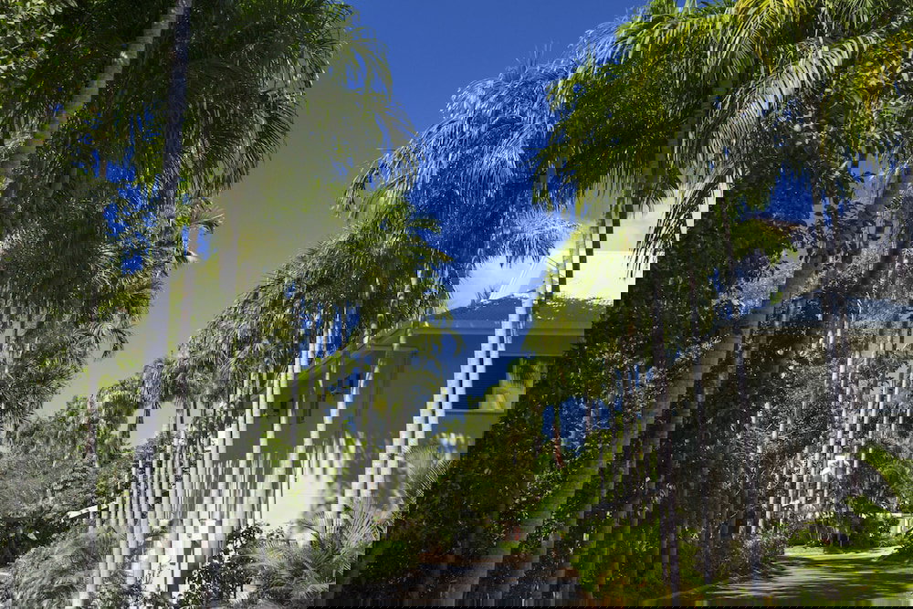 Wangetti QLD Accommodation Yamba