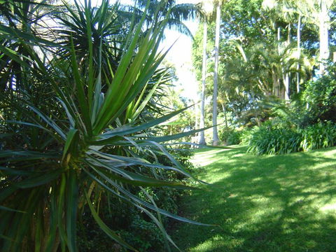 Sensom Luxury Bed & Breakfast - Accommodation Yamba 2
