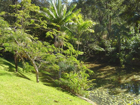 Sensom Luxury Bed & Breakfast - Accommodation Yamba 5