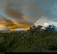 Ocean International - Accommodation Yamba