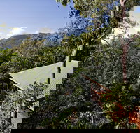 Thala Beach Nature Reserve - Accommodation Yamba