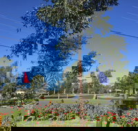 Silver Oaks Motel - Accommodation Yamba