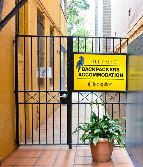 Blue Parrot Backpackers - Accommodation Yamba 2