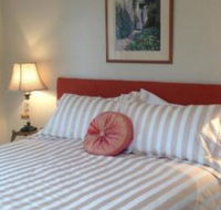 Every Man  His Dog Vineyard - Accommodation Yamba