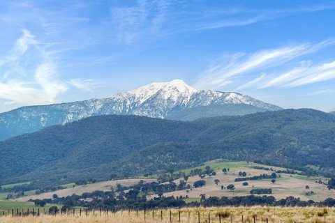 Off Mountain Accommodation - Accommodation Yamba 2