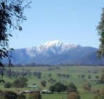 Off Mountain Accommodation - Accommodation Yamba