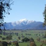Off Mountain Accommodation - Accommodation Yamba 0