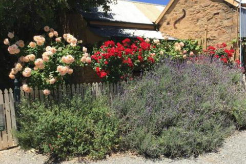 The Olde Devonshire House - Accommodation Yamba 3