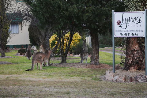 Lynrose Place - Accommodation Yamba 7