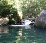 Daintree Secrets Rainforest Sanctuary - Accommodation Yamba