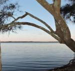 Waterfront Jervis Bay Escape Cooinda - Accommodation Yamba