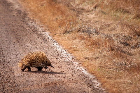 Admirals Inn - Accommodation Yamba 6