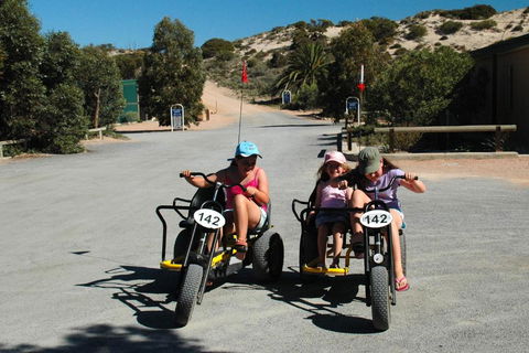 Ceduna Shelly Beach Caravan Park - Accommodation Yamba 4