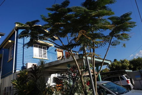 Happytourcairns Sharehouse - Accommodation Yamba 1