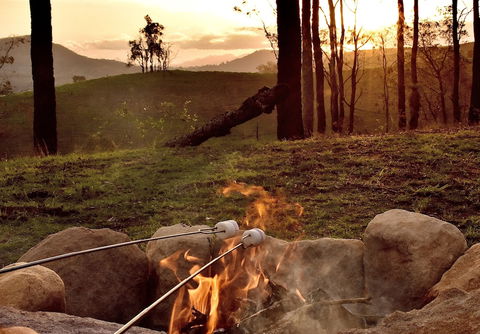 Ketchup's Bank Glamping - Accommodation Yamba 4